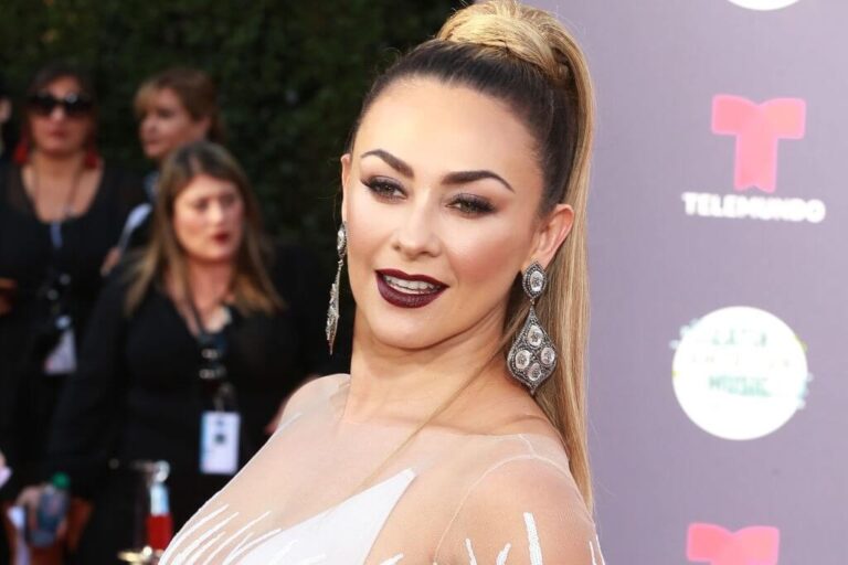 Aracely Arambula Net Worth, Age, Husband, Kids and more