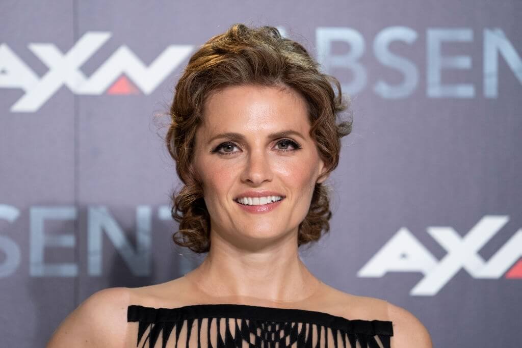 Stana Katic Measurements, Net Worth, Bio, Age, and Family Details